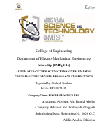 Kaleab Final Project File (3).pdf